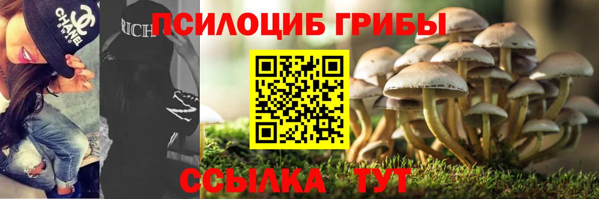 Галлюциногенные грибы ЛСД Петрозаводск