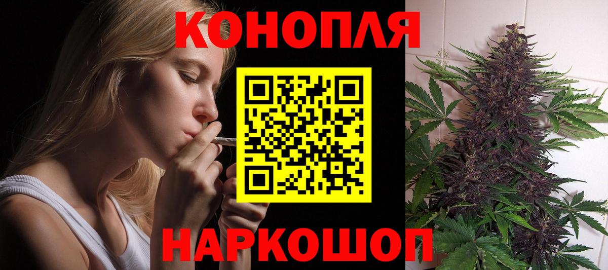 Бошки Шишки сатива Петрозаводск